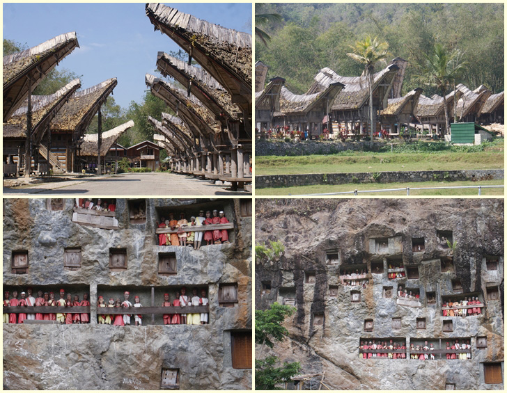 Toraja Etnic Group